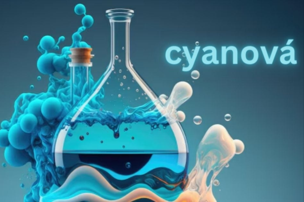 Innovative Designs by Cyanová: Insights into Their Groundbreaking Approach